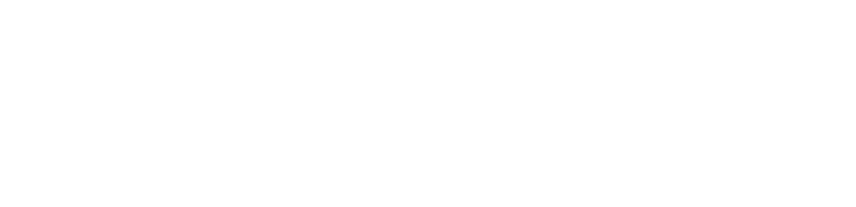 Everlong Developments Limited